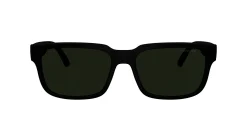 Gafas de sol Arnette TWISTER 0AN4362