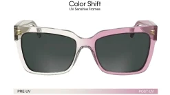 Gafas de sol Calvin Klein CKJ24606S