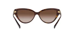 Gafas de sol Emporio Armani 0EA4192
