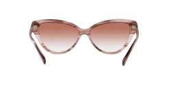 Gafas de sol Emporio Armani 0EA4192