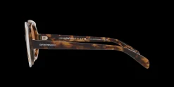 Gafas de sol Emporio Armani 0EA4207