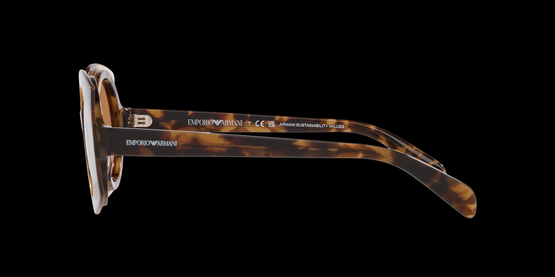 Gafas de sol Emporio Armani 0EA4207