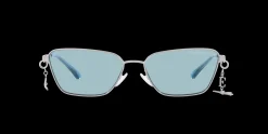Gafas de sol Emporio Armani 0EA2141