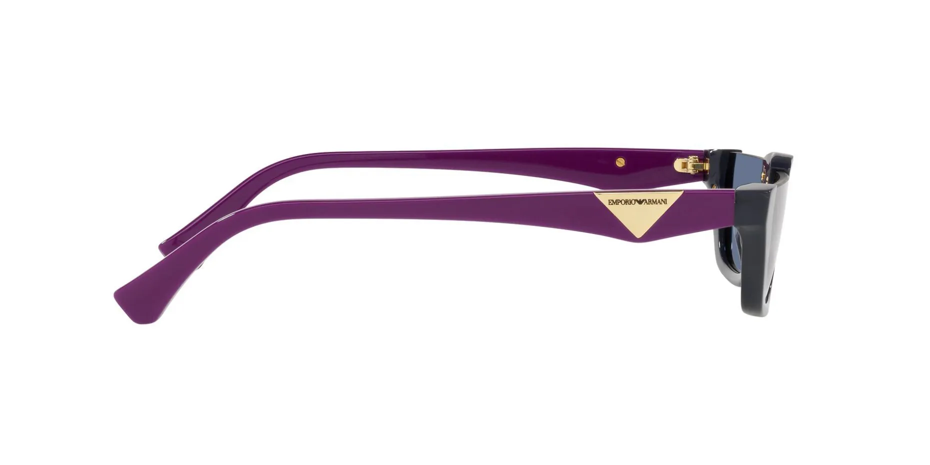 Gafas de sol Emporio Armani 0EA4174