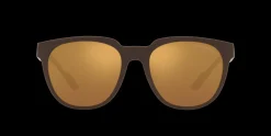 Gafas de sol Emporio Armani 0EA4205