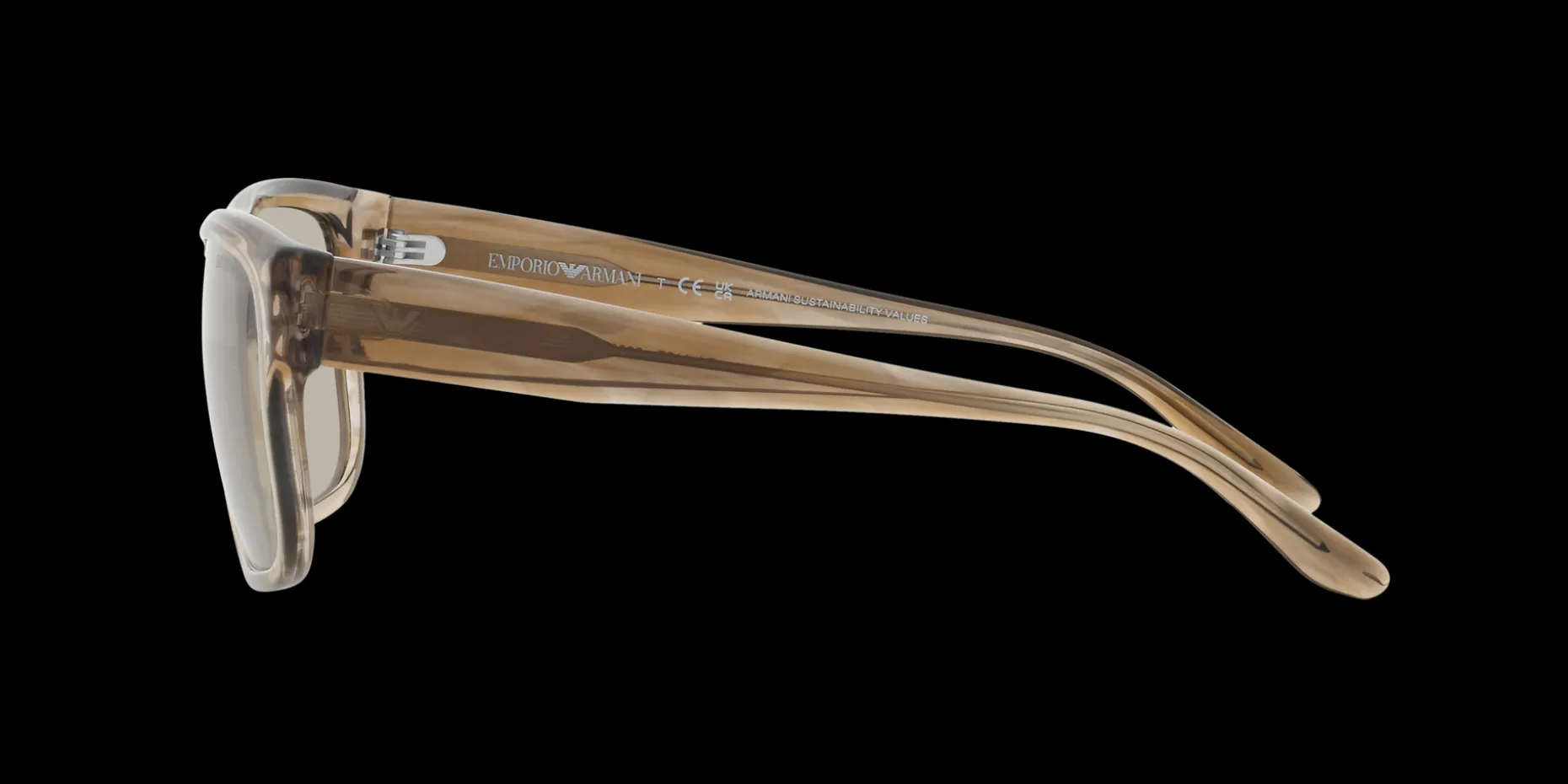 Gafas de sol Emporio Armani 0EA4197