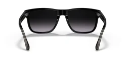 Gafas de sol Emporio Armani 0EA4163