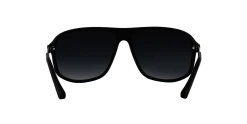 Gafas de sol Emporio Armani 0EA4029
