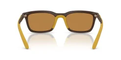 Gafas de sol Emporio Armani 0EA4249U