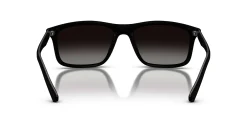 Gafas de sol Emporio Armani 0EA4257U