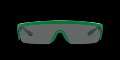 Gafas de sol Emporio Armani 0EA4204U
