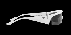 Gafas de sol Emporio Armani 0EA4204U