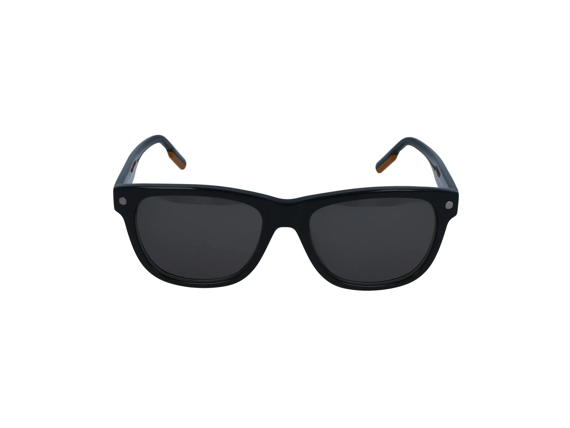 Gafas de sol Ermenegildo Zegna EZ0196