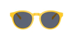 Gafas de sol Polo Ralph Lauren 0PH4192