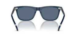 Gafas de sol Polo Ralph Lauren 0PH4205U