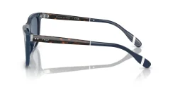 Gafas de sol Polo Ralph Lauren 0PH4205U