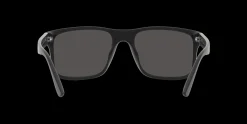 Gafas de sol Polo Ralph Lauren 0PH4195U