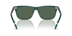 Gafas de sol Polo Ralph Lauren 0PH4205U