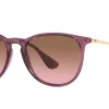 Gafas de sol Ray Ban ERIKA 0RB4171