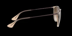 Gafas de sol Ray Ban ERIKA 0RB4171 XL