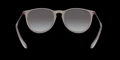 Gafas de sol Ray Ban ERIKA 0RB4171 XL
