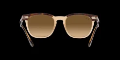 Gafas de sol Ray Ban HAWKEYE 0RB2298