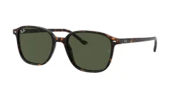 Gafas de sol Ray Ban LEONARD 0RB2193