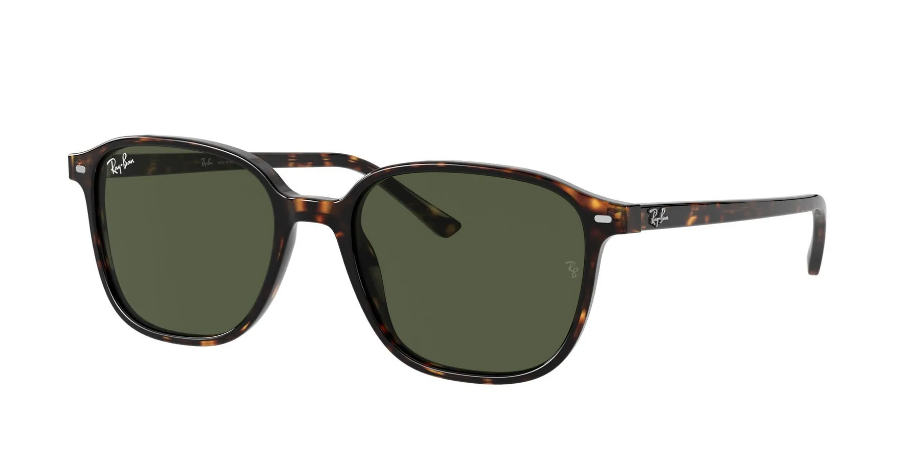 Gafas de sol Ray Ban LEONARD 0RB2193