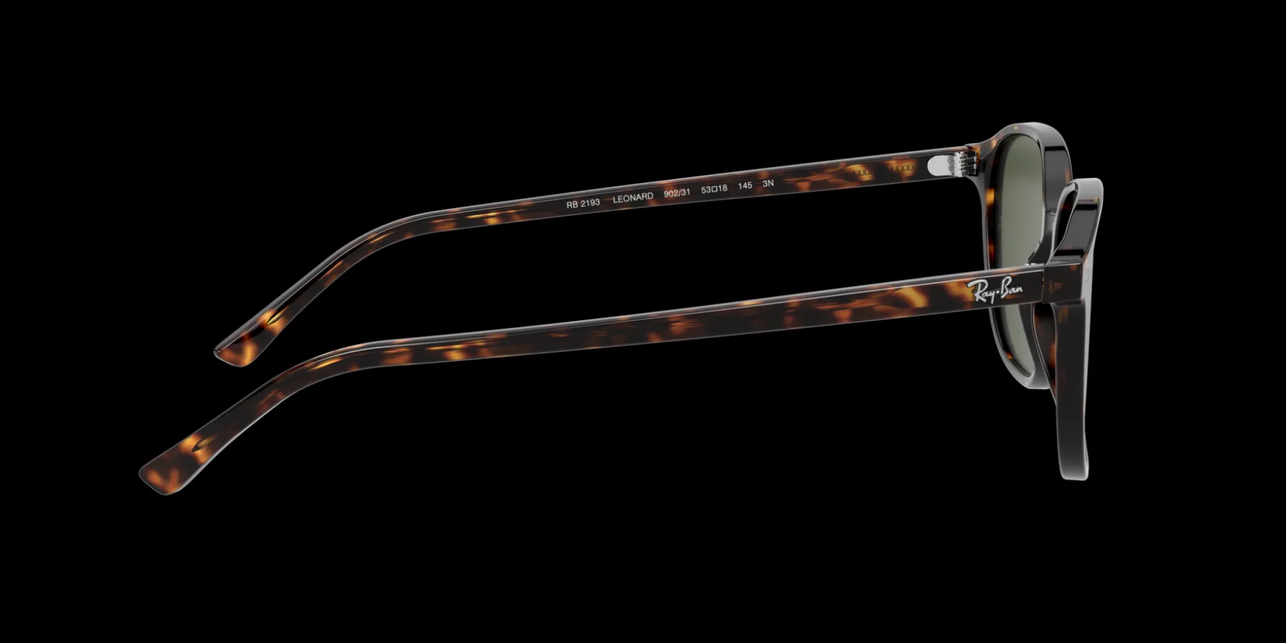 Gafas de sol Ray Ban LEONARD 0RB2193