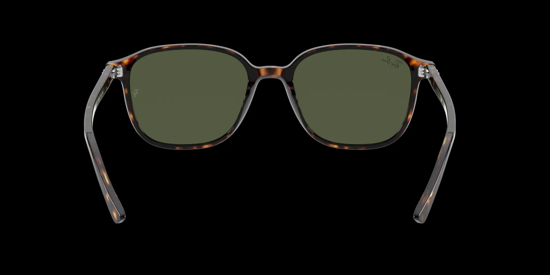 Gafas de sol Ray Ban LEONARD 0RB2193