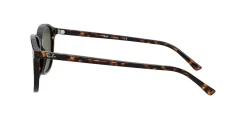 Gafas de sol Ray Ban LEONARD 0RB2193