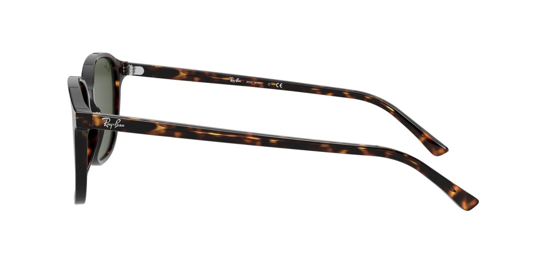 Gafas de sol Ray Ban LEONARD 0RB2193