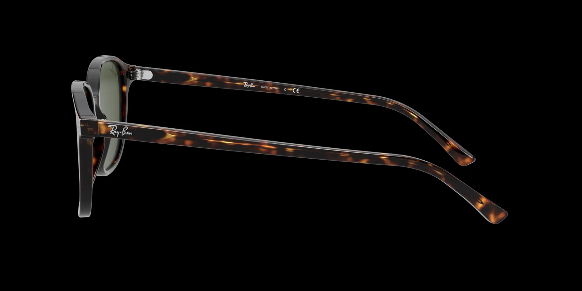 Gafas de sol Ray Ban LEONARD 0RB2193