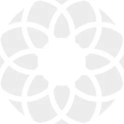 Audífonos Audio Service P LI-ION 8 G6