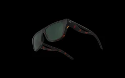 Gafas de sol Arena OCEANID AOC