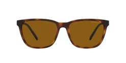 Gafas de sol Arnette 0AN4291