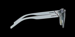 Gafas de sol Arnette BARRANCO 0AN4319