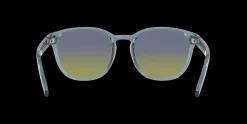 Gafas de sol Arnette BARRANCO 0AN4319