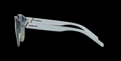 Gafas de sol Arnette BARRANCO 0AN4319
