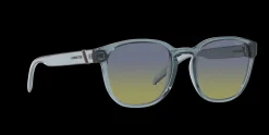 Gafas de sol Arnette BARRANCO 0AN4319