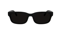 Gafas de sol Arnette DEFYER 0AN4363