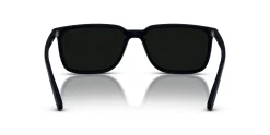 Gafas de sol Arnette DINSKY 0AN4364
