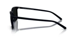 Gafas de sol Arnette DINSKY 0AN4364