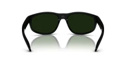 Gafas de sol Arnette E.Z. 0AN4351