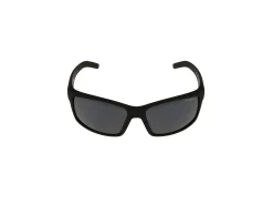 Gafas de sol Arnette FASTBALL 0AN4202