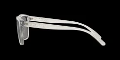 Gafas de sol Arnette LEBOWL 0AN4321