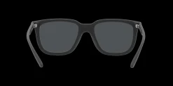 Gafas de sol Arnette PLAKA 0AN4306