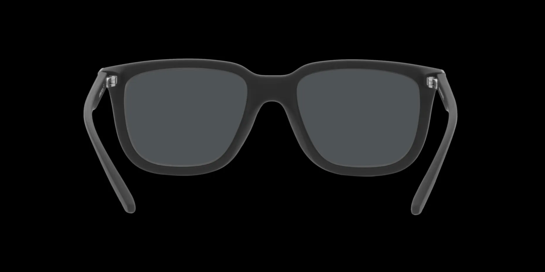 Gafas de sol Arnette PLAKA 0AN4306