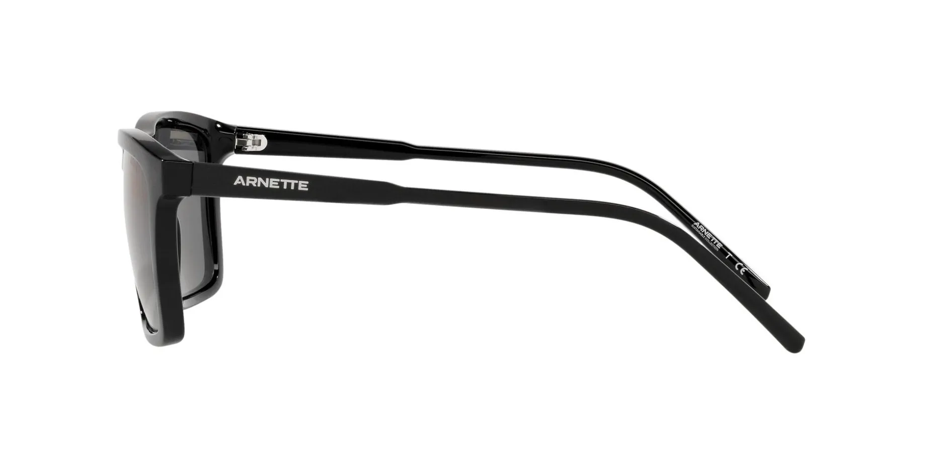 Gafas de sol Arnette SHYGUY 0AN4283