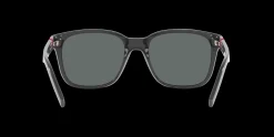 Gafas de sol Arnette SURRY H 0AN4320